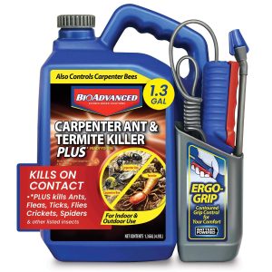 BioAdvanced Carpenter Ant & Termite Killer Plus
